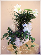 White Lily Planter
