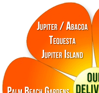 Juno Beach Flowers / Le Jardin Florist :: Flower Delivery Area