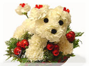 Terry the Terrier :: Animal Flower Arrangement